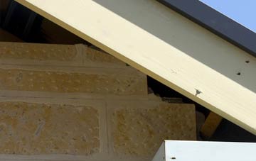 soffit repair Monkhide